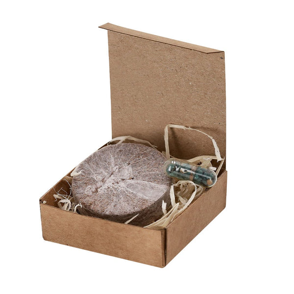 Pack Piantabile Aquael natural - personalizzabile con logo