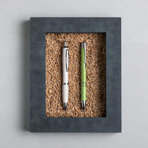 Penna a Sfera Prodox - personalizzabile con logo