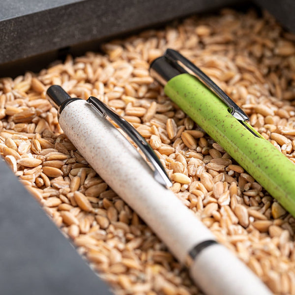 Penna a Sfera Prodox - personalizzabile con logo