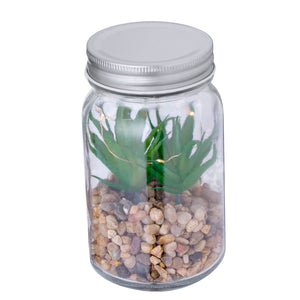 Pianta Decorativa Kyala - personalizzabile con logo