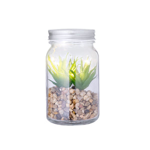 Pianta Decorativa Kyala - personalizzabile con logo