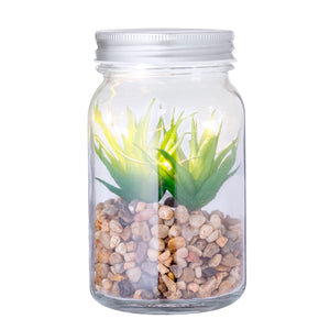 Pianta Decorativa Kyala - personalizzabile con logo