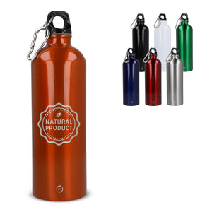 R-SS bottiglia a parete singola con moschettone 750ml Combinazione - personalizzabile con logo