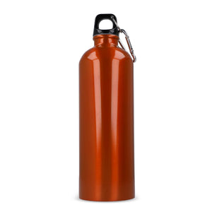 R-SS bottiglia a parete singola con moschettone 750ml - personalizzabile con logo
