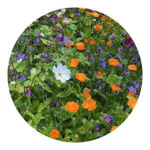 Sacchetti di semi di fiori recisi da 4 grammi Marrone - personalizzabile con logo
