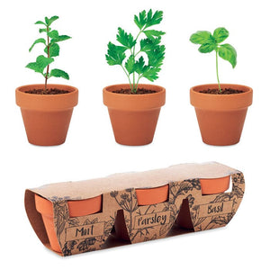 Set di erbe in terracotta beige - personalizzabile con logo