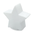 Stella con luce Bianco - personalizzabile con logo