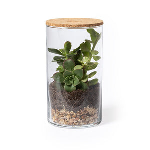 Terrarium Anymak - personalizzabile con logo