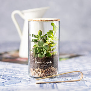 Terrarium Anymak - personalizzabile con logo