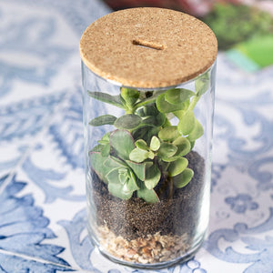 Terrarium Anymak - personalizzabile con logo