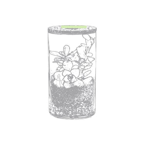 Terrarium Anymak - personalizzabile con logo