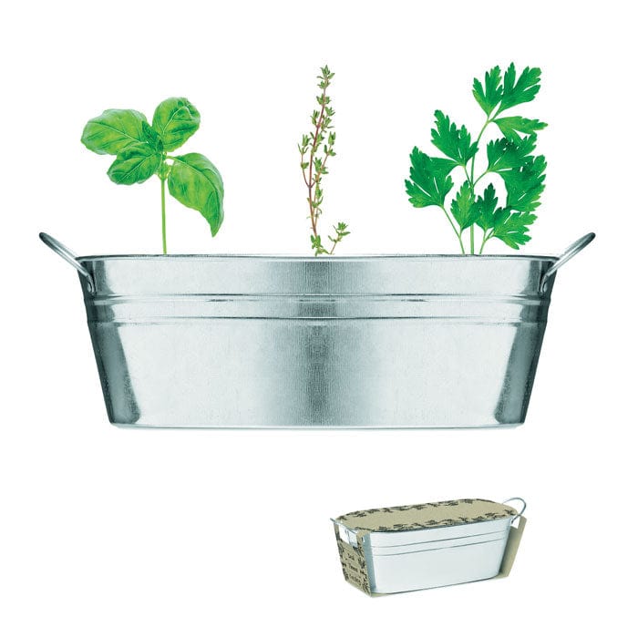 Vaschetta con 3 semi di erbe color argento - personalizzabile con logo