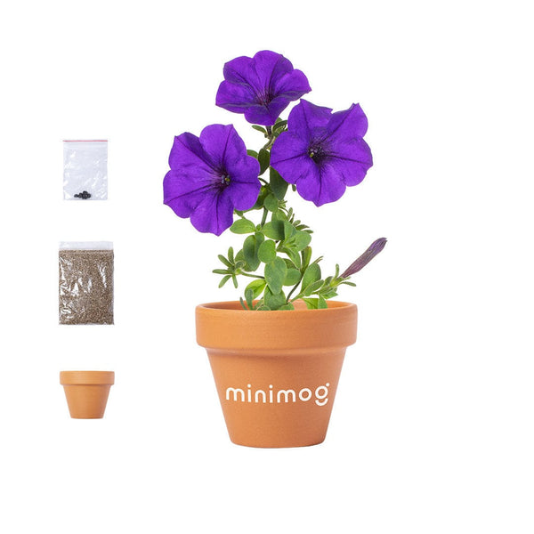 Vaso Soltax - personalizzabile con logo